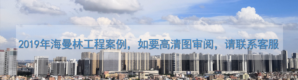 資訊，案例